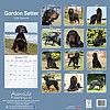 Gordon Setter Calendar